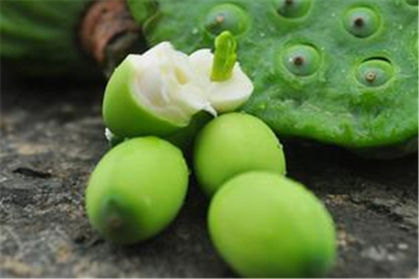 银耳莲子糖尿病人可以吃吗,莲子糖尿病人可以吃吗? 银耳莲子糖尿病人可以吃吗,莲子糖尿病人可以吃吗?