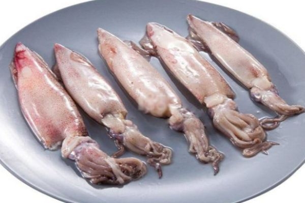 孕妇可以吃鱿鱼吗(孕妇可以吃鱿鱼吗早期) 孕妇可以吃鱿鱼吗(孕妇可以吃鱿鱼吗早期)