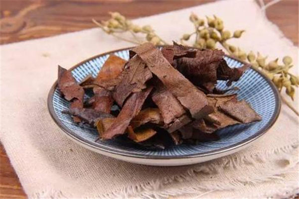 枇杷叶能治胃病吗,胃病可以吃枇杷吗