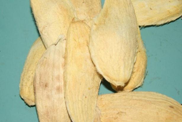 芒果核煮水的功效和作用,芒果核煮水的方法