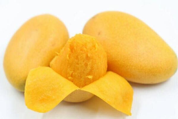 怀孕能做面膜吗,开塞露牛奶鸡蛋清能做面膜吗