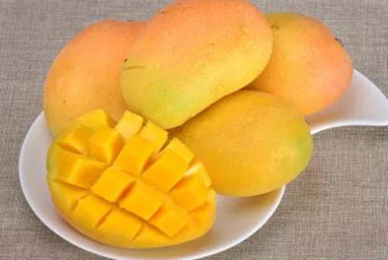 芒果怎么剥皮不脏手,芒果如何剥皮 芒果怎么剥皮不脏手,芒果如何剥皮