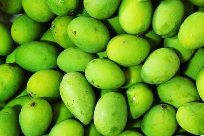 芒果什么品种的好吃,哪一种芒果好吃