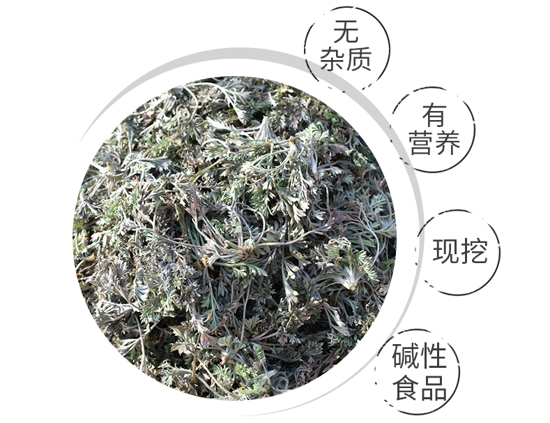 茵陈草有什么功效和作用,茵陈草的功效和作用有哪些