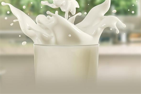 牛奶减肥期间可以喝吗,减肥喝什么样的牛奶 牛奶减肥期间可以喝吗,减肥喝什么样的牛奶