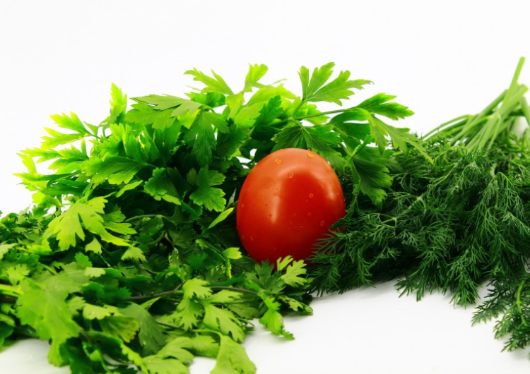 香菜的功效和作用禁忌,香菜的功效和作用壮阳