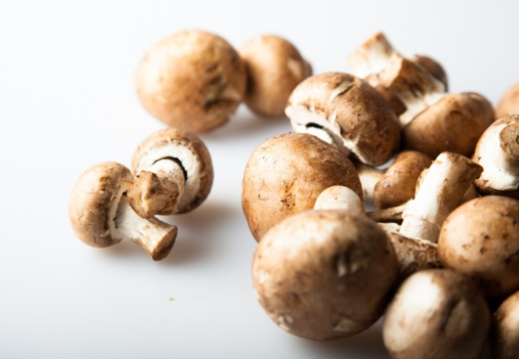 新鲜蘑菇要焯水吗,新鲜的蘑菇要不要焯一下水 新鲜蘑菇要焯水吗,新鲜的蘑菇要不要焯一下水