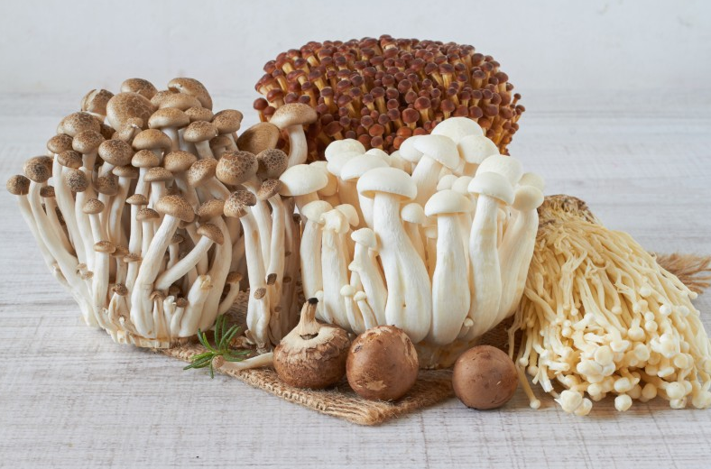 新鲜蘑菇怎么保存方法,新鲜香菇如何存放