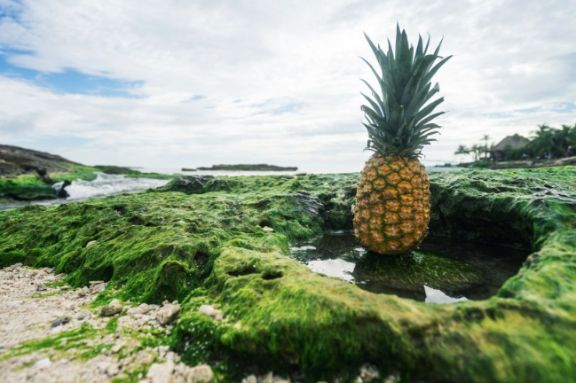 菠萝泡盐水一般要泡多久才能够吃,菠萝泡盐水5分钟能吃吗
