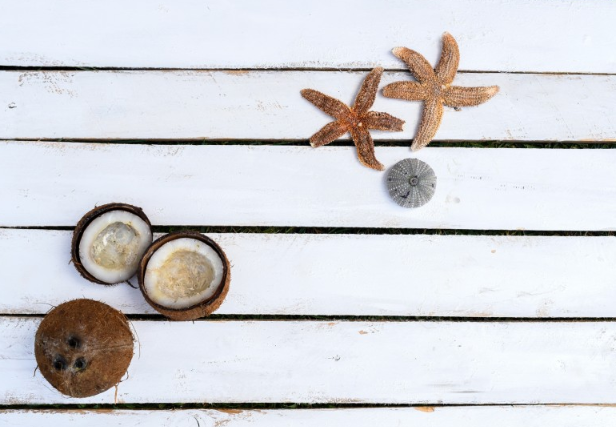 椰子肉和什么水果榨汁好喝,椰肉跟什么水果榨汁