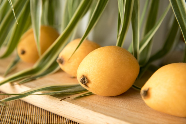 枇杷可以和牛奶一起榨汁吗,枇杷和苹果可以一起榨汁吗