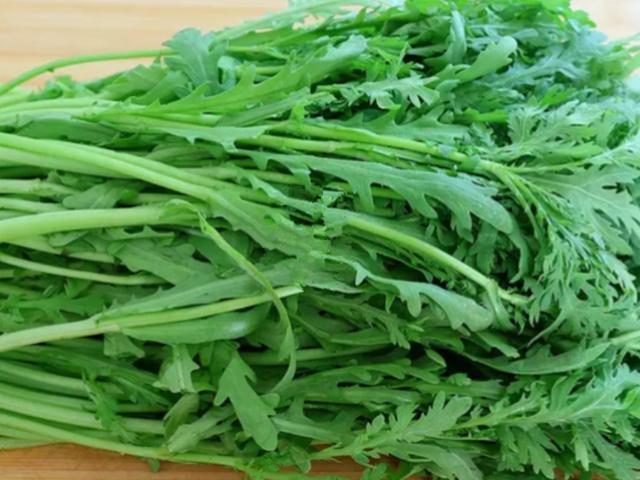 苦菊和茼蒿能一起吃吗,茼蒿和苦菊