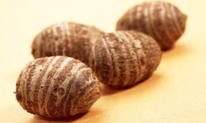 芋叶的营养价值,山芋叶和茎的营养价值