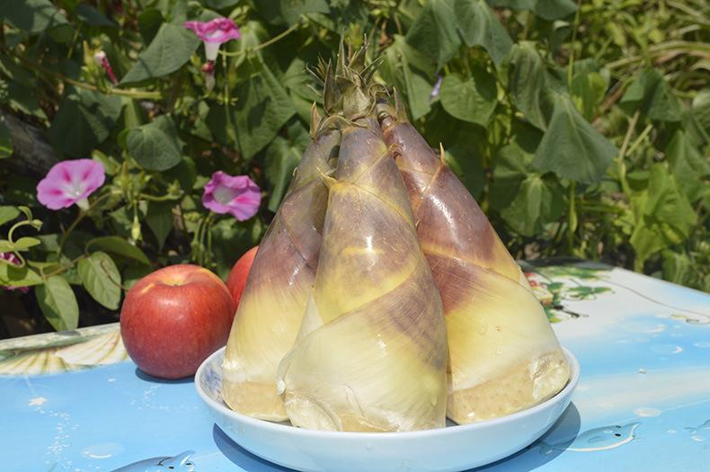 马蹄笋的营养价值,马蹄笋的营养和功效