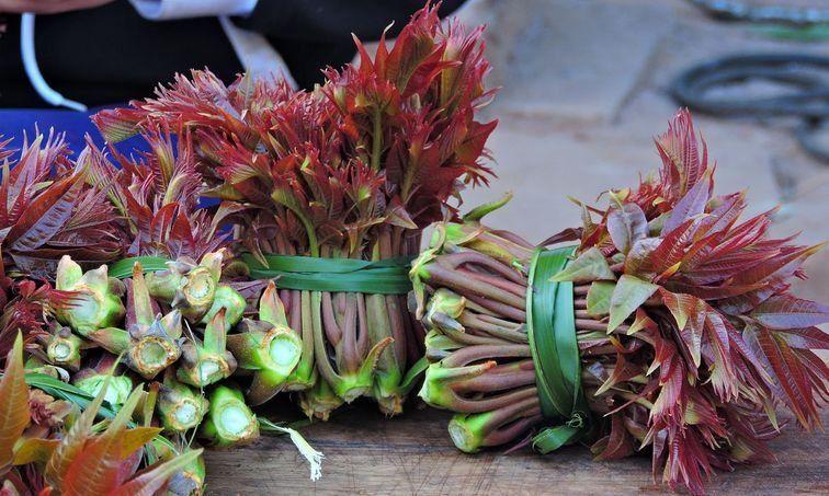 香椿头有什么功效,香椿的功效和作用禁忌