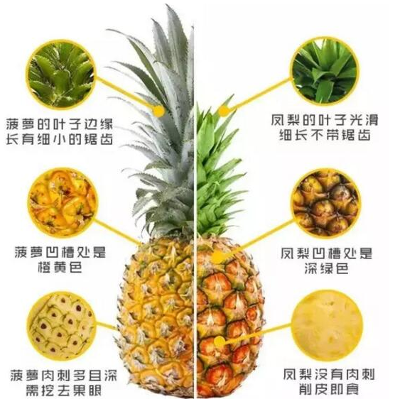 分别和识别的区别,的怎么区分