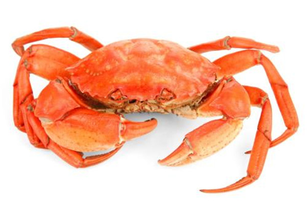 螃蟹的这些部位不要吃(螃蟹不能吃部位)