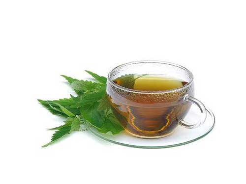 玫瑰薄荷茶的禁忌(薄荷玫瑰花茶功效和禁忌) 玫瑰薄荷茶的禁忌(薄荷玫瑰花茶功效和禁忌)