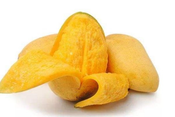 芒果一般生长在什么环境中呢(芒果生长在什么地方,芒果的生长环境) 芒果一般生长在什么环境中呢(芒果生长在什么地方,芒果的生长环境)