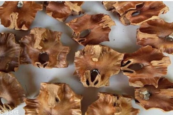 分心木有什么营养价值呢(分心木的营养价值)