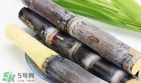 腊月如何养生,寒冬腊月养生