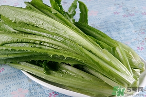 的功效和作用,功能和功效