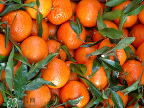 孕妇吃水果一天吃多少合适,水果一天吃多少合适?