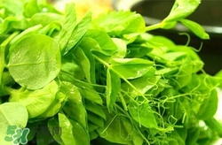 豌豆尖怎么做好吃又简单,豌豆尖怎么做好吃, 豌豆尖的功效和作用 豌豆尖怎么做好吃又简单,豌豆尖怎么做好吃, 豌豆尖的功效和作用