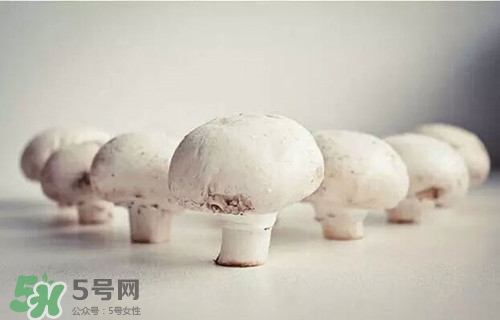 口蘑怎么做好吃还简单,蘑菇怎么做好吃又简单 口蘑怎么做好吃还简单,蘑菇怎么做好吃又简单