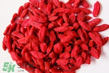 乙肝病人可以吃枸杞吗?,乙肝病人可以吃枸杞吗 北京 乙肝病人可以吃枸杞吗?,乙肝病人可以吃枸杞吗 北京