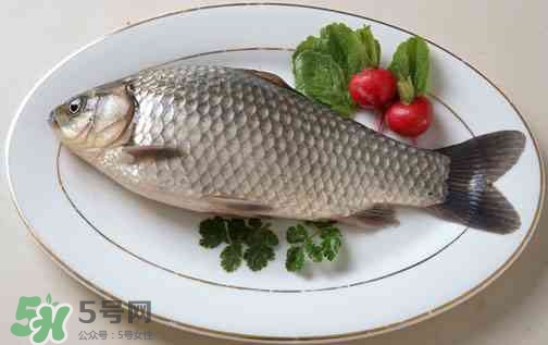 鲫鱼汤暖胃吗,清蒸鲫鱼暖胃吗
