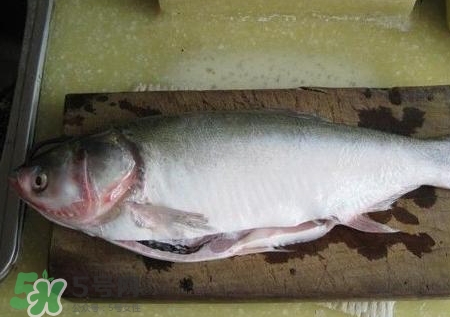 鲢鱼适合怎么吃,鲢鱼的吃法