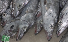 带鱼怎么吃好,带鱼怎么热着吃好吃