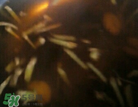 生姜红糖水可以晚上喝吗?,红糖生姜水能晚上喝吗