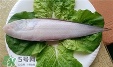 龙利鱼的保存方法,龙利鱼怎么保存