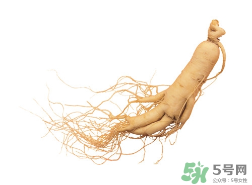 孕妇能吃野山参吗,孕妇可以吃野生山参吗