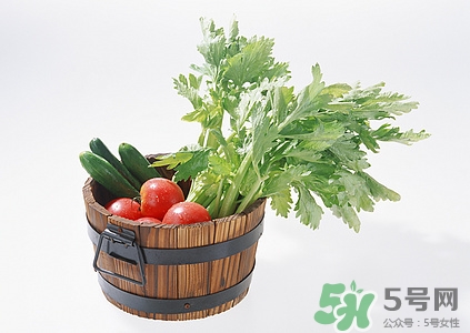 芹菜的药用功效和作用,芹菜的药用功效和作用禁忌