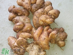 沙姜和生姜的区别图片,白姜和黄姜的区别