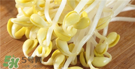 黄豆芽怎么保存不变绿,吃不完的黄豆芽怎么保存