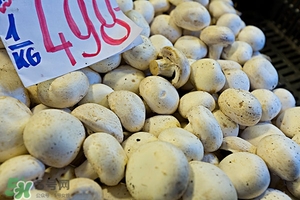 无花果茶的做法大全,无花果茶的做法