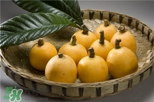 枇杷皮怎么剥,枇杷皮怎么剥快