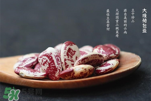 肾豆的功效和作用图片,肾豆的功效和作用及食用方法 肾豆的功效和作用图片,肾豆的功效和作用及食用方法