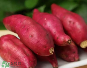 为什么红薯削皮后变黑,红薯削了皮变黑还能吃吗 为什么红薯削皮后变黑,红薯削了皮变黑还能吃吗