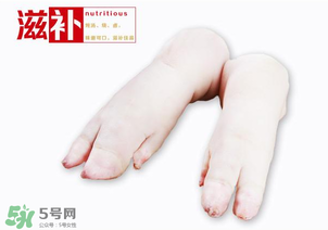 猪蹄的营养成分含量表,猪蹄的营养成分及功效 猪蹄的营养成分含量表,猪蹄的营养成分及功效