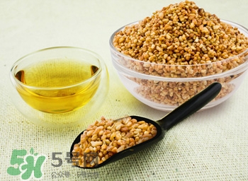 荞麦泡茶喝有什么好处,常喝荞麦茶有什么好处 荞麦泡茶喝有什么好处,常喝荞麦茶有什么好处