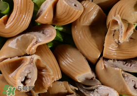 粉肠是什么意思广东话,粉肠是什么部位