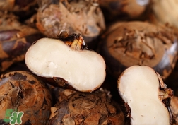 荸荠煮多长时间才能熟?,荸荠煮熟要多久