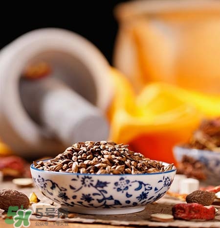 喝大麦茶腹泻什么原因,大麦茶 腹泻