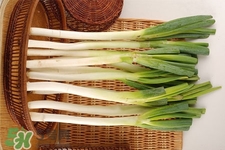 今年秋季大葱的价格预测,大葱年底价格预测