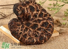 虎掌菌的功效和作用及食用方法,虎掌菌的功效和作用及禁忌